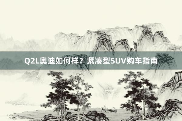 Q2L奥迪如何样？紧凑型SUV购车指南